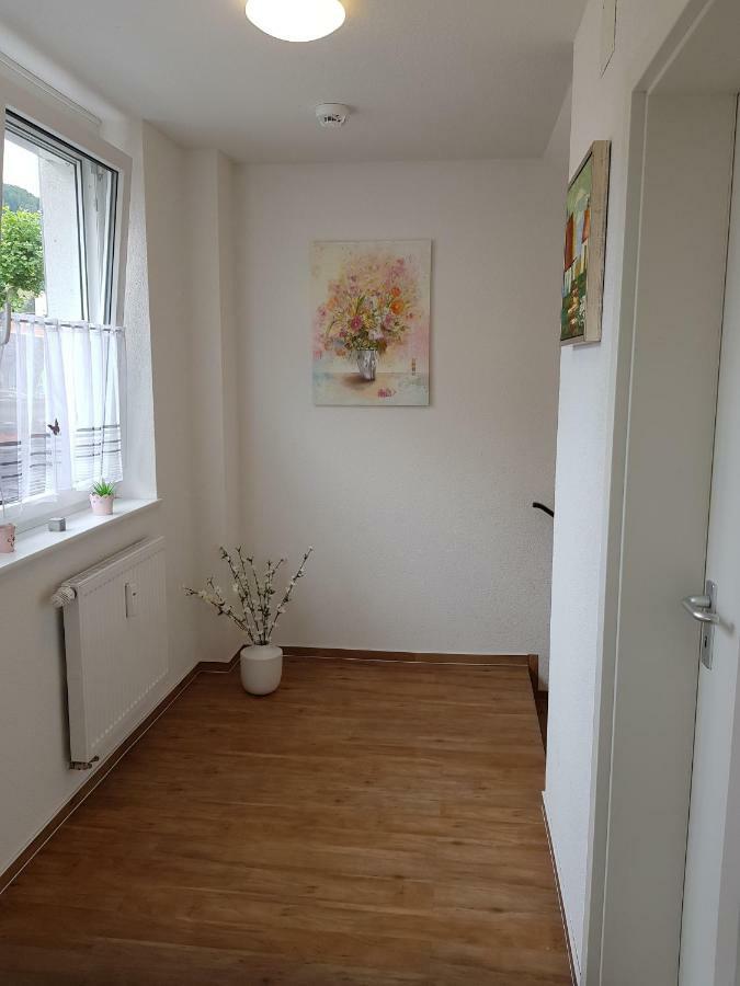 Wiesenblume Apartamento Schönau im Schwarzwald Exterior foto
