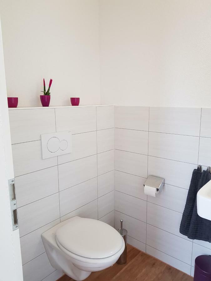 Wiesenblume Apartamento Schönau im Schwarzwald Exterior foto
